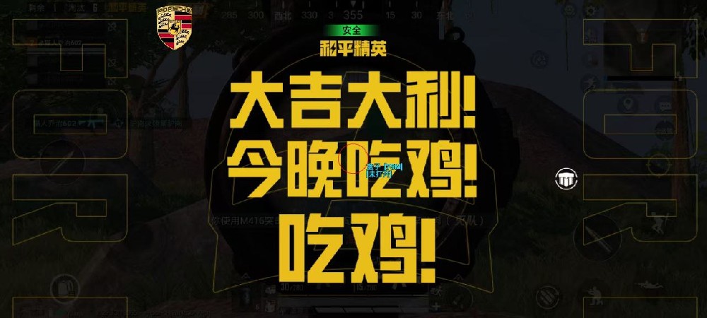 和平精英辅助-保时捷-直装